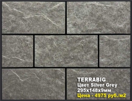 Silver Grey TERRABIG